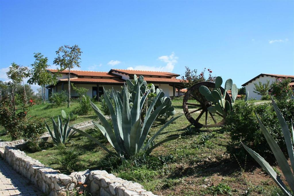Agriturismo Ninea ริกาดี ภายนอก รูปภาพ