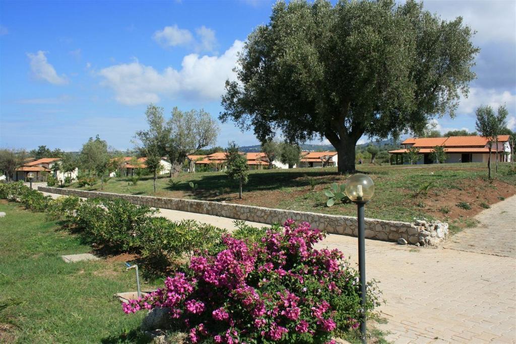 Agriturismo Ninea ริกาดี ภายนอก รูปภาพ